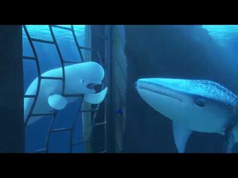 'Finding Dory' (2016) Official Clip 'You're a Beluga'