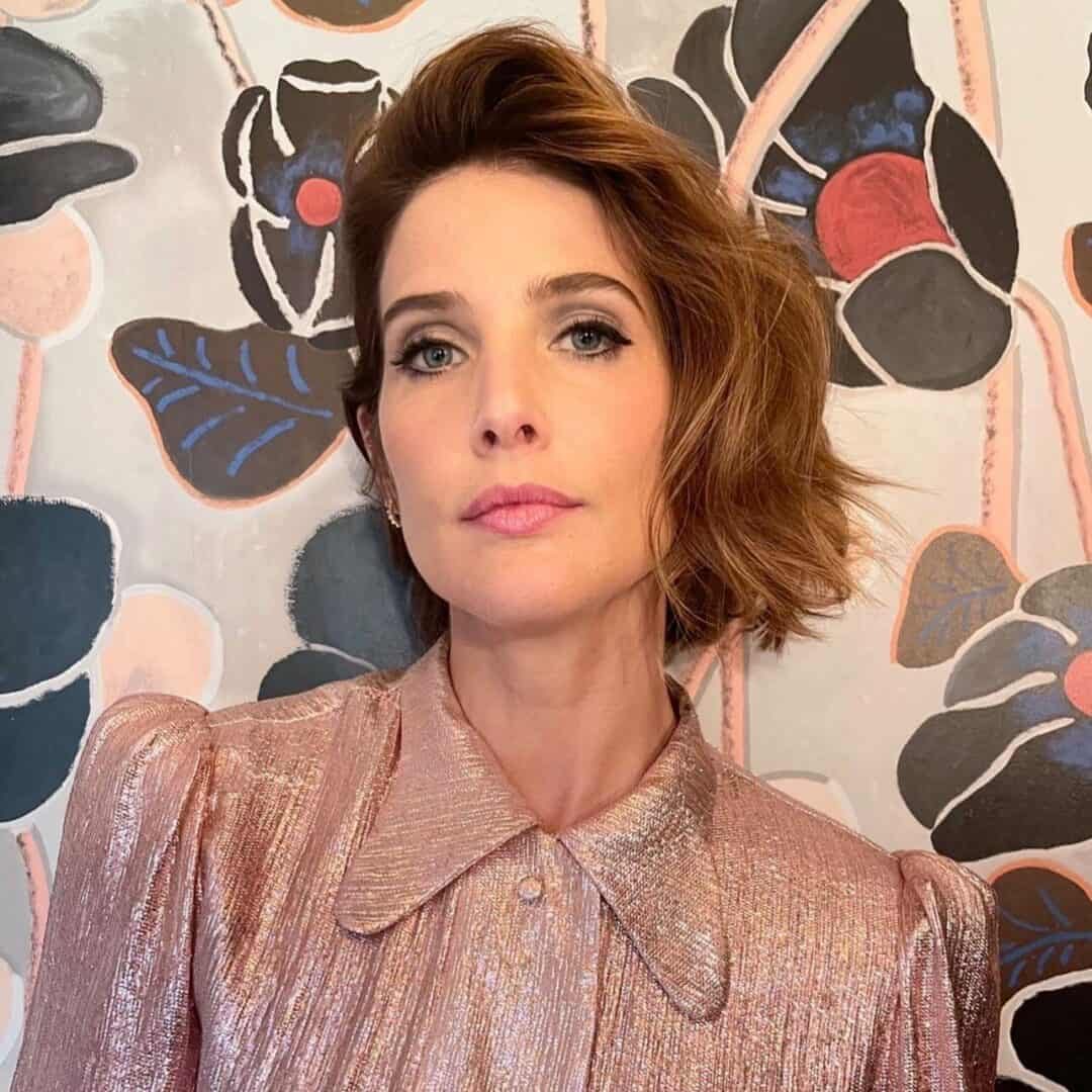 Cobie Smulders Profile: Net Worth, Age, Career, and More Facts