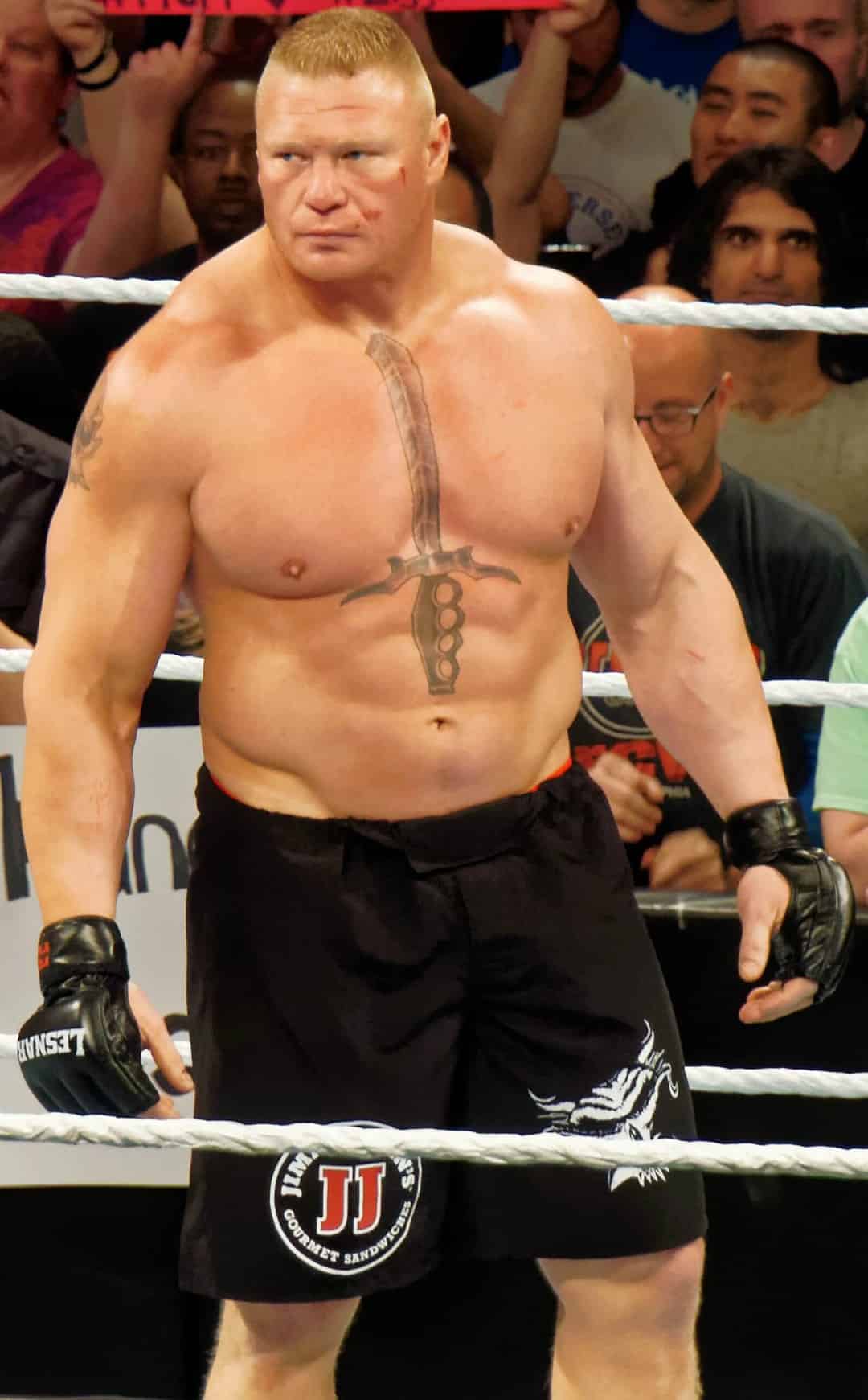 MMA Fighters - Brock Lesnar