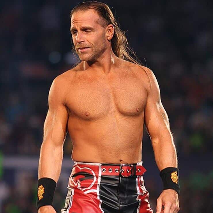 Shawn Michaels - Physical Appearance