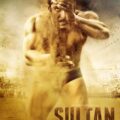 Salmaan Khan - Successful Film