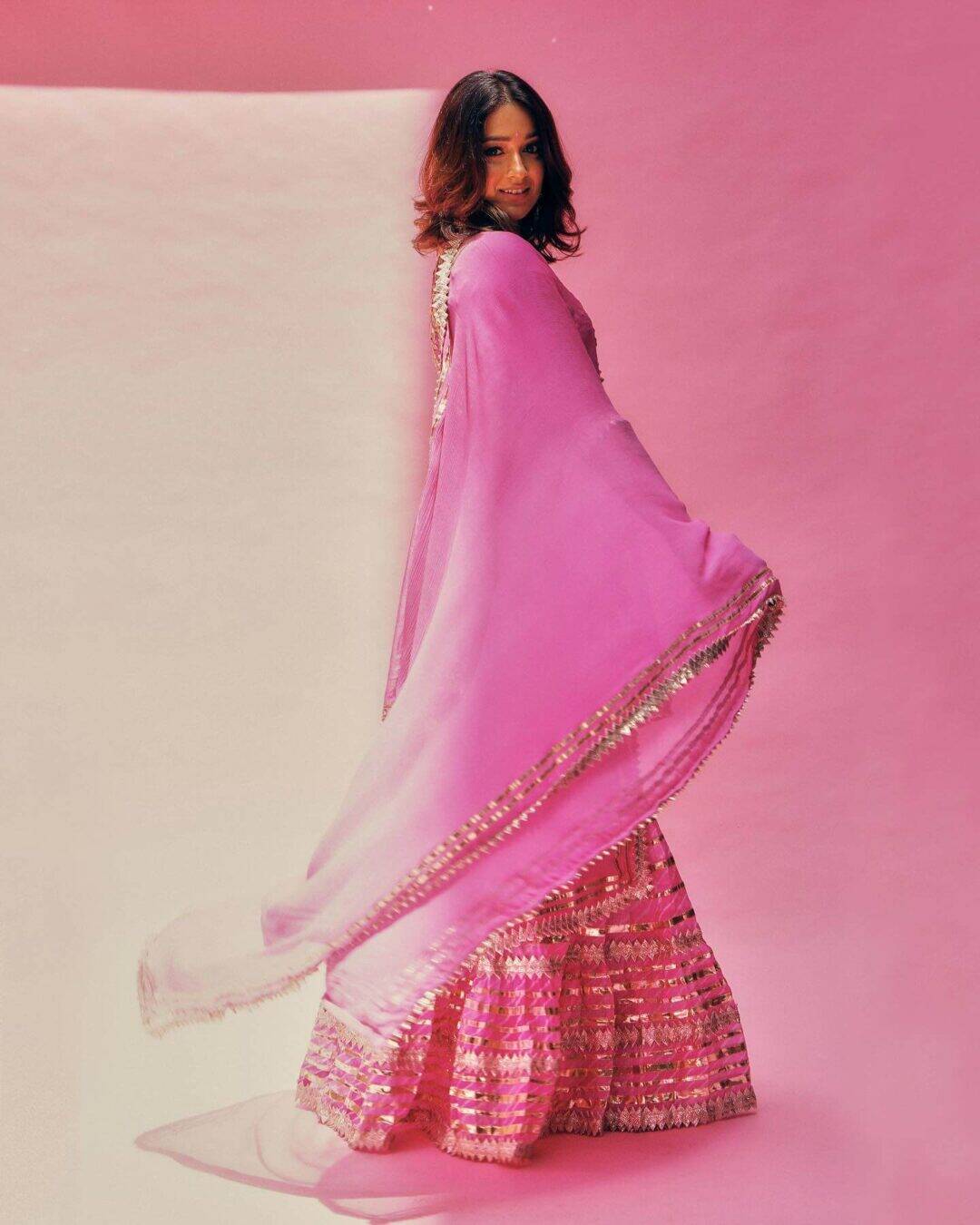 Ileana D'cruz - Rise To Stardom