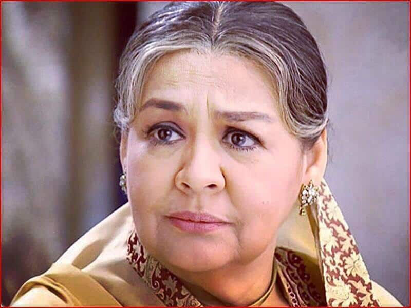 Farida jalal : Net Worth, Height, Weight, Age, Affairs, Wiki, Facts and Figures 3 Farida Jalal - Selfie