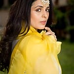 Anjana Sukhani Successful Film