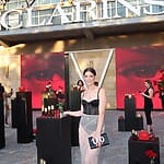 Ashley Greene Rise To Stardom