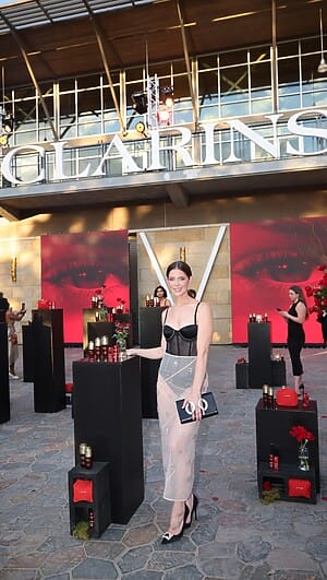 Ashley Greene Rise To Stardom