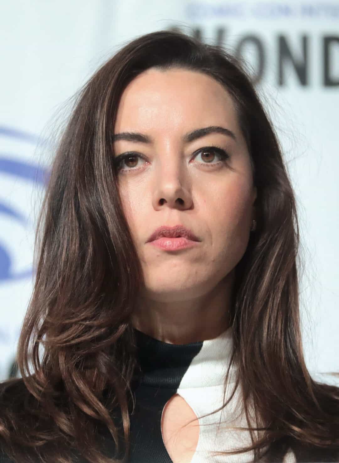 Aubrey Plaza : Net Worth, Height, Weight, Age, Affairs, Wiki, Facts and Figures 3 Aubrey Plaza - Selfie