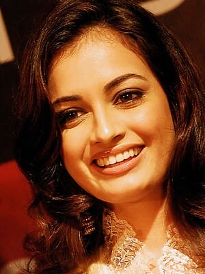 Dia Mirza Successful Film