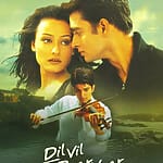 Dil Vil Pyar Yar Successful Poster