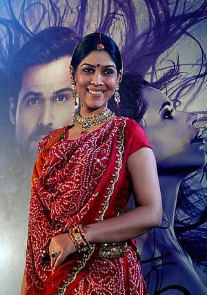 Sakshi Tanwar Successful Film