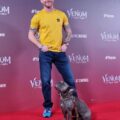 Tom Hardy - Rise To Stardom