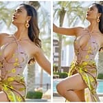 Tridha Choudhury Controversies