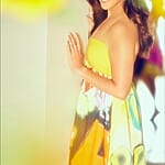 Genelia D Souza Rise To Stardom