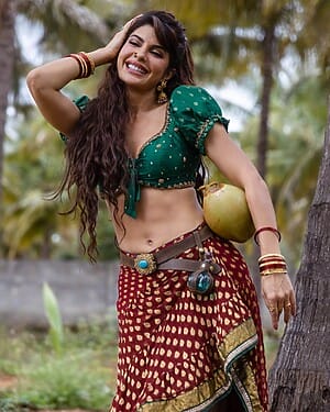 Jacqueline Fernandez Successful Film