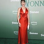 Leighton Meester Image Career