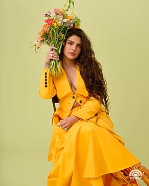 Priyanka Chopra Rise To Stardom