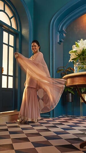 Sameera Reddy Interesting Facts