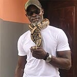 Djimon Hounsou