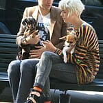agyness-deyn-bio
