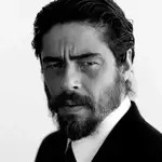 Benicio Del Toro