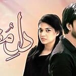 dile-muztar-2013