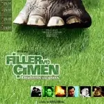 filler-ve-cimen