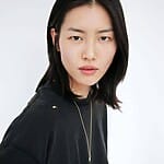 liu-wen-model