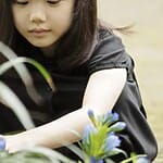 mana-ashida