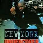 new-york-undercover-1995