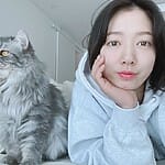 Park Shin Hye
