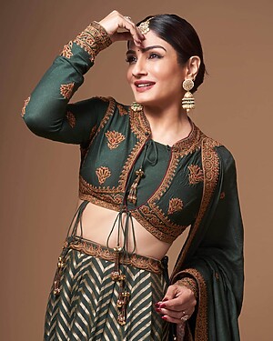 Raveena Tandon Rise To Stardom