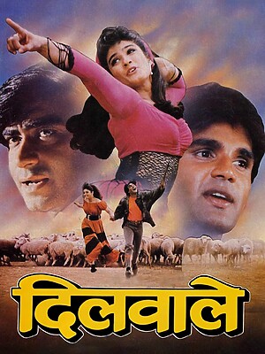 Raveena Tandon Successful Film