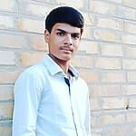 Sarwan Ali Palijo