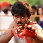 Sadhu Kokila
