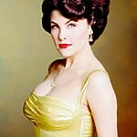 Sherilyn Fenn