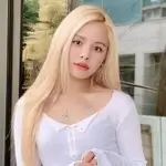 sorn-model