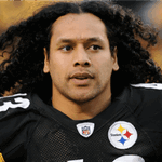 Troy Polamalu