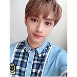 wen-junhui-guges