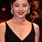 Xin Zhilei
