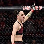 Yan Xiaonan