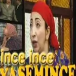 yasemince