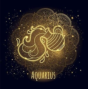 Aquarius Celebrities Famous Water Bearer Sign Stars