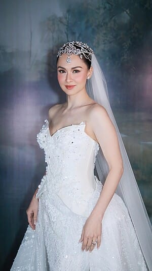Marian Rivera Career Image