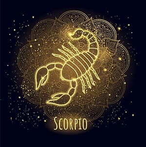 Scorpio Celebrities Famous Scorpion Sign Stars